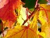 Христя Белей-Батіг фотография #24 (источник - https://vk.com/id86833143)