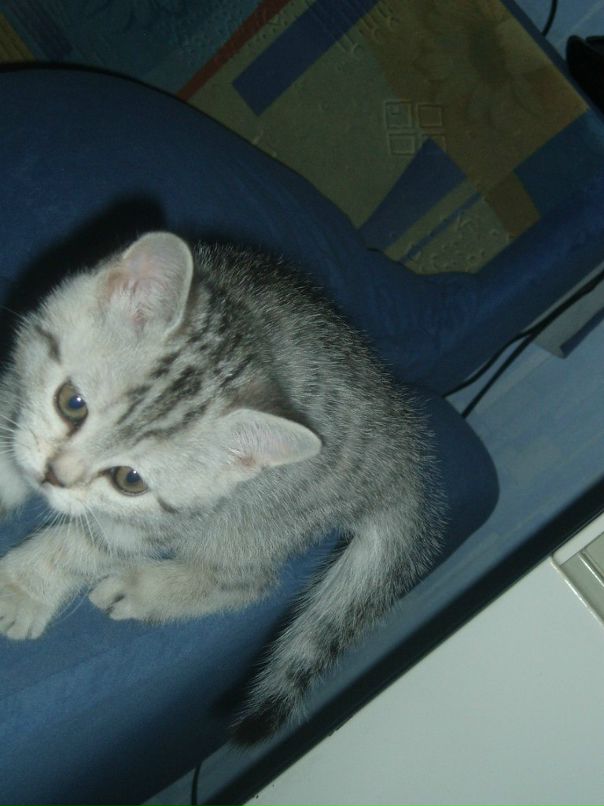 Сергей Пушняков фотография #50