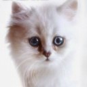 Світлана Барабаш фотография #1