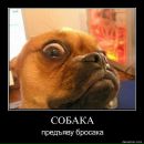 Фотография Малышевой Алины