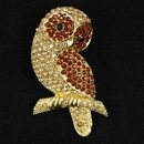 Мустафа Османов фотография #29 (источник - https://vk.com/id214457711)