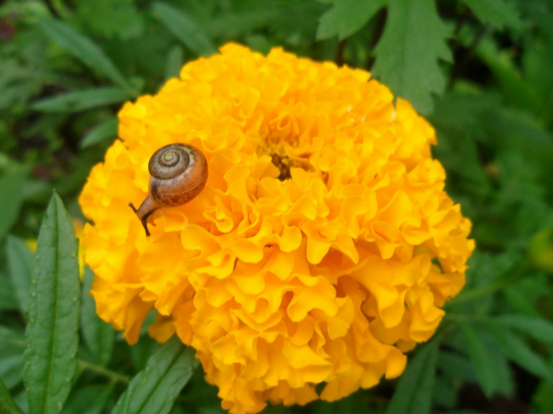 Наталья Мальцева фотография #6