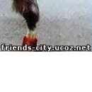 Андрій Баторик фотография #46 (источник - https://vk.com/id49054076)