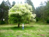 Фотография Кочина Виталия