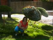 Фотография Рябининой Анастасии