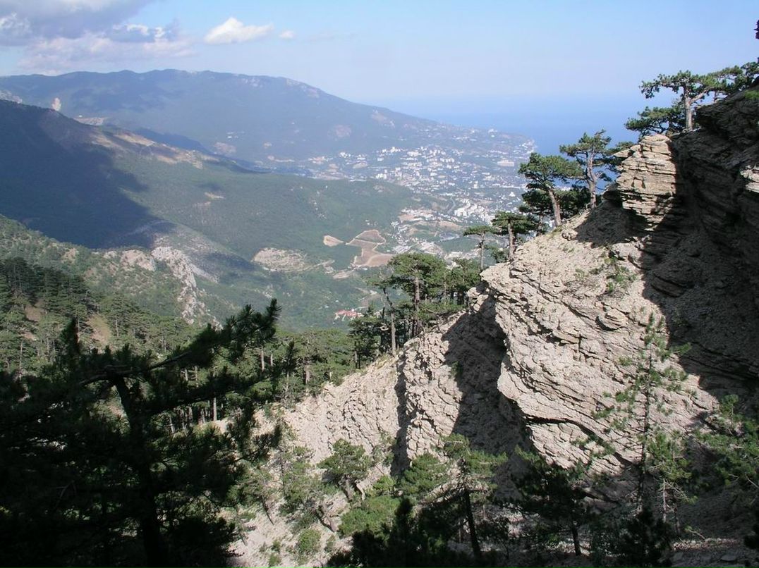 Дмитрий Каплин фотография #35