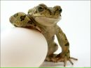 Фотография Данилиной Елены