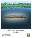Сергій Ваксютенко фотография #27 (источник - https://vk.com/id133291802)