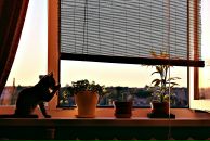 Фотография Дергачёвой Кристины