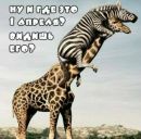 Міша Бібен фотография #2 (источник - https://vk.com/id154740626)