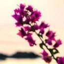 Κристина Μиронова фотография #37 (источник - https://vk.com/id154017682)