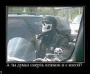 Олександр Калашніков фотография #34 (источник - https://vk.com/id131592576)