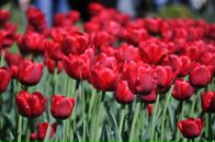 Андрюха Кіптель фотография #18 (источник - https://vk.com/id3545054)