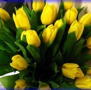 Юлюся Сем-Янів фотография #49 (источник - https://vk.com/id166936484)