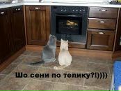 Андрій Полтавський фотография #1