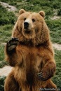 Иван Федчук фотография #45 (источник - https://vk.com/id134620599)