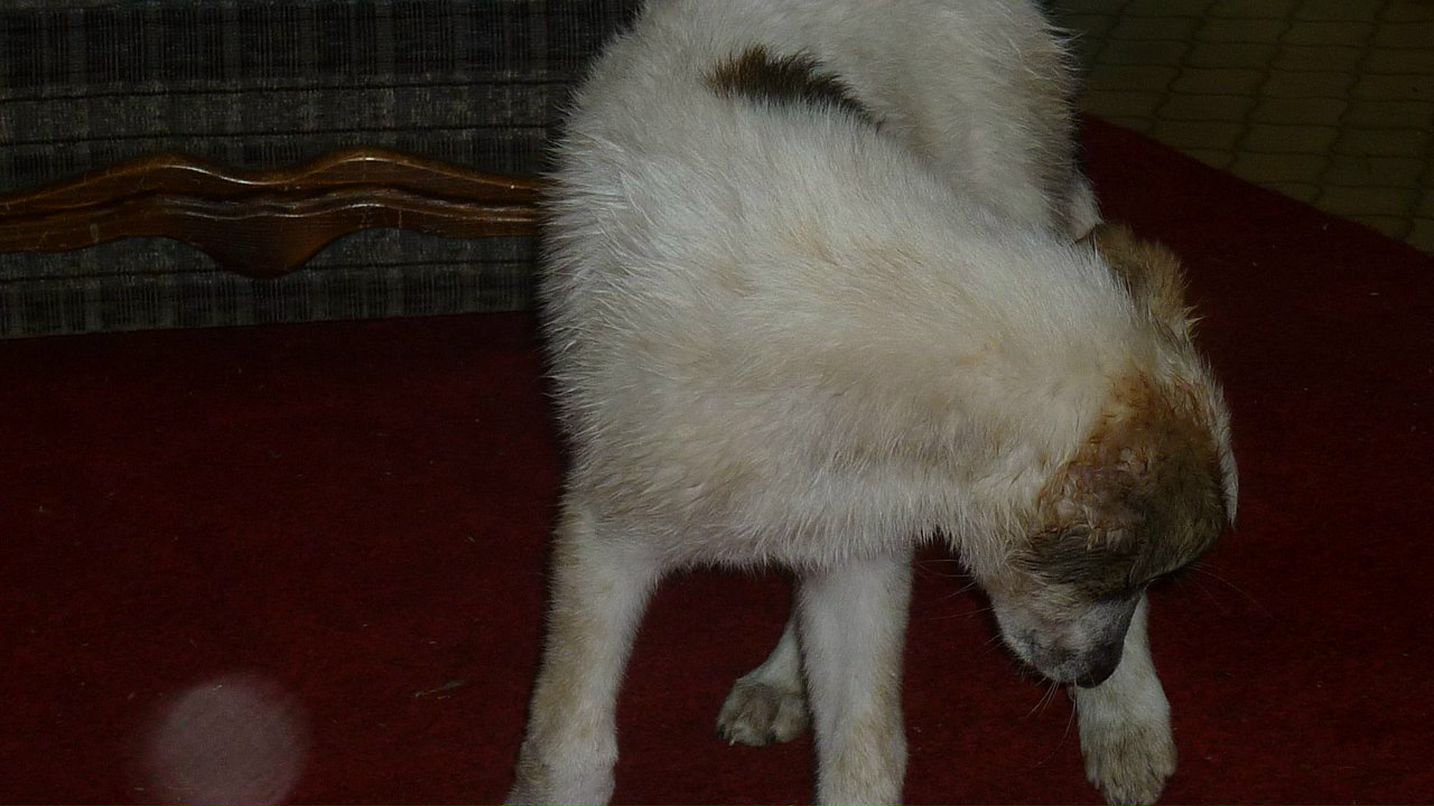 Александр Усов фотография #11