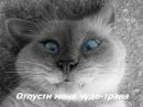 Фотография Бадеевой Антонины