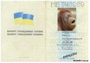 Володя Шимків фотография #31 (источник - https://vk.com/id154326383)