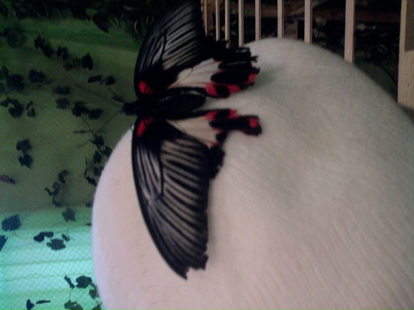 Катя Клименко фотография #28