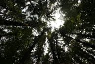 Олег Вавринів фотография #39 (источник - https://vk.com/id6581379)