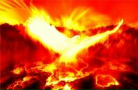 Роман Бриль фотография #1