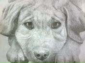 Андрій Лесик фотография #22 (источник - https://vk.com/id92415111)