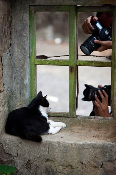 Baha Baha фотография #49