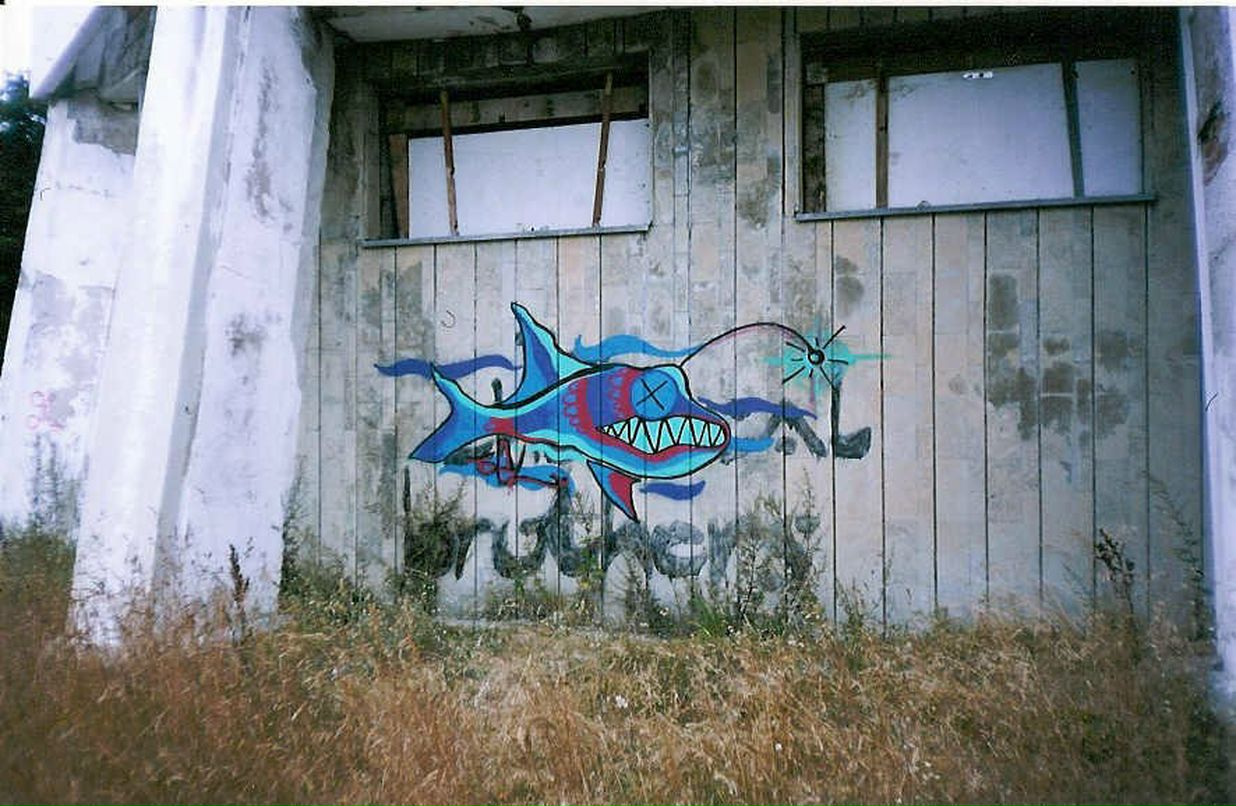 Ivan Andrejev фотография #35