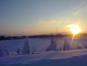 Фотография Горюнова Юрия