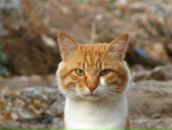 Фотография Антиповой Юлии