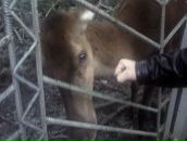 Андрюха Фіцик фотография #15 (источник - https://vk.com/id19240154)