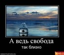 Юра Пугінець фотография #11 (источник - https://vk.com/id164842473)