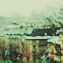 Макс Спицын фотография #38 (источник - https://vk.com/id3824919)