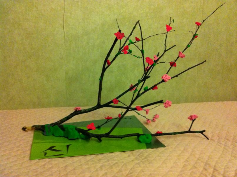 Син Анастасия фотография #26