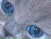 Лера Лоц фотография #12 (источник - https://vk.com/id57504657)