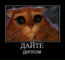 Толік Дохтич фотография #33 (источник - https://vk.com/id136551190)