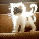 Фотография Стадниченко Марины