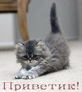 Лизунька =3 фотография #10 (источник - https://vk.com/id153542147)