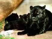 Фотография Махаринской Татьяны