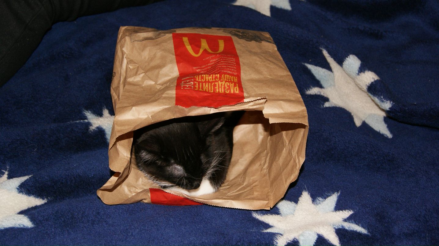 Антон Чучалин фотография #20