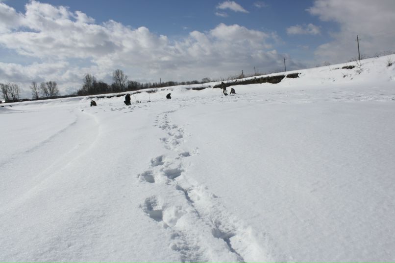 Виктор Сергеев фотография #32