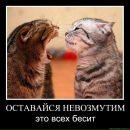 Рустам Абдулин фотография #3 (источник - https://vk.com/id100724942)