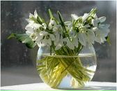 Асия Субеева фотография #42 (источник - https://vk.com/id5435255)