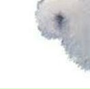 Андріана Винницька фотография #33 (источник - https://vk.com/id141510258)