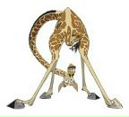 Юлія Дмитрієва фотография #7 (источник - https://vk.com/id17292977)