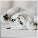 Фотография Кижайкиной Екатерины