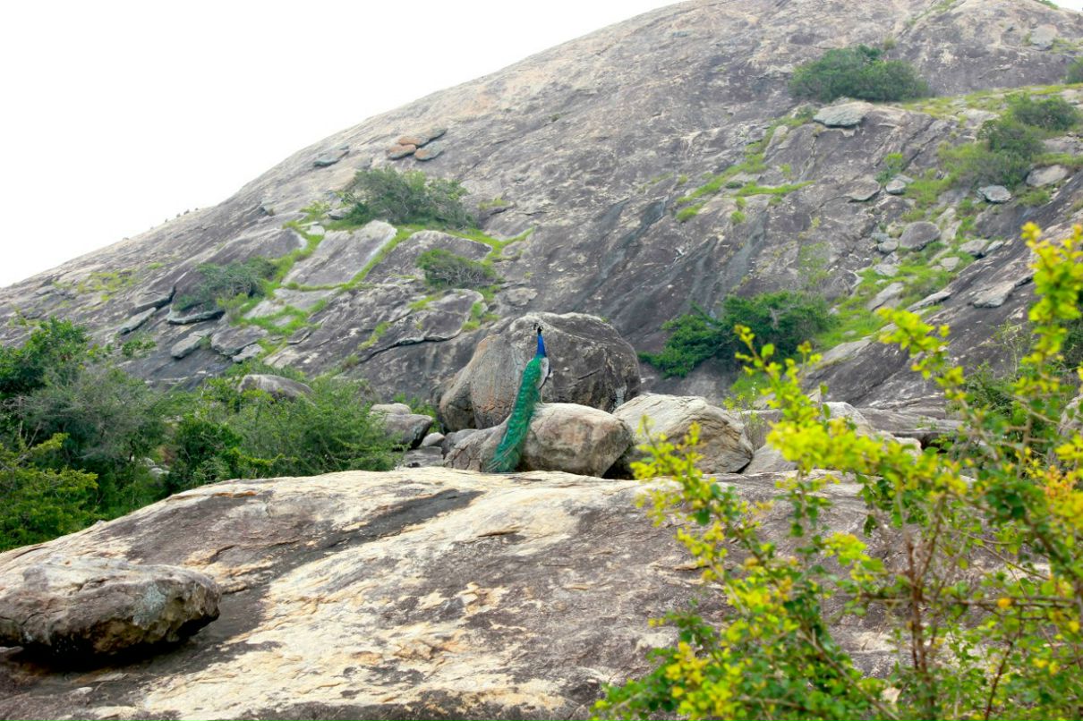 Кса На фотография #9