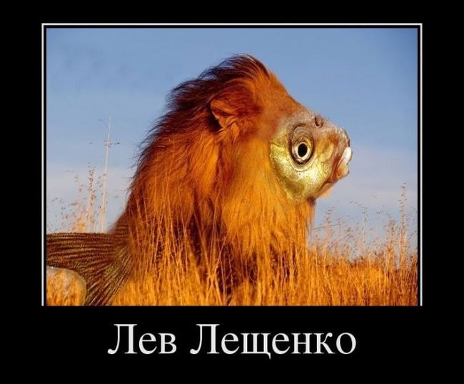 Джек Грибоедов фотография #41