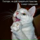 Фотография Столярова Романа